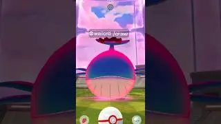 Got Dynamax Big Wailord in Pok&eacute;mon Go #shorts #debut #wailord #ultragoo #catch #dynamx #rare #game