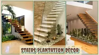 Low Maintenance Air Purifying Houseplants | Staircase Garden Ideas | Stair Decoration with Plants