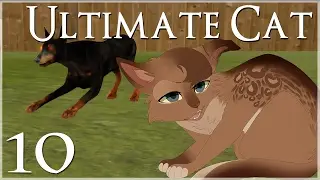 The War of Cats vs. Dogs Begins &bull; Ultimate Cat Simulator - Episode #10