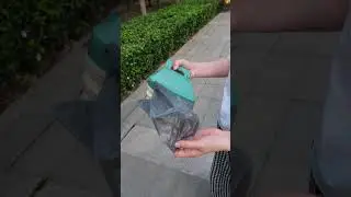 Dog poop picking tool！#original #products
