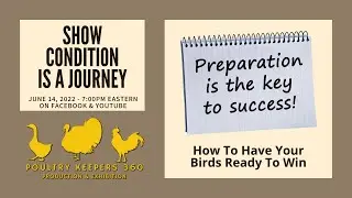 Getting Your Birds In Show Condition