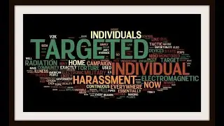 The Perfect Crime: Zerzetzung | Is Targeted Individual Day Perpetrator Theater? by Dr. E. Karlstrom