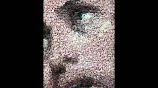 Jesus face#catholicism#christ videos# christian