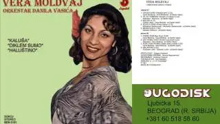 Vera Moldvaj sa ork Danila Vasica - Dav romaj trajo - (Audio 1981)