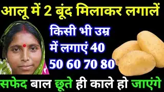 ना मेहंदी ना डाई आलू में दो बूंद मिलाकर बालों में लगालें सफेद बाल छूते ही काले हो जाएंगे। Black Hair
