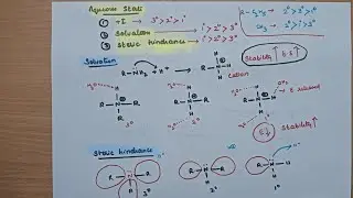 Tricks to find order of basicity of Alkyl amines l Class 12 Amines #chemistry #neet #amines