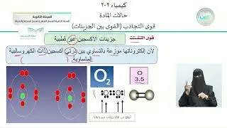 قوى التجاذب ( القوى بين الجزيئات) - الكيمياء (2-2) - المسار العام والصحة والحياة - السنة الثانية