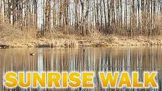 SUNRISE WALK | ASMR - footsteps and nature (no talking) | Walking Path Videos