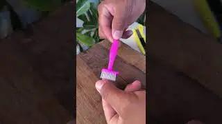 reciclando escova de dente !