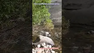 #307 #flyfishing #smallstream #mountainlife #lightline