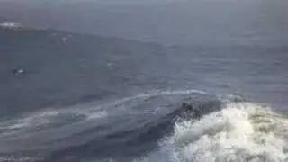 Steaming Steamers 4