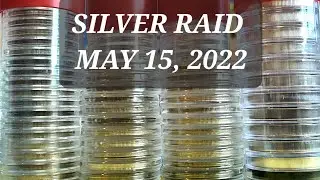 SILVER RAID TALK + СЕРЕБРЯНЫЕ ДОЛЛАРЫ 😉