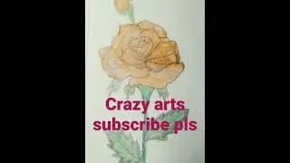 crazy arts #shorts#viralshort#tradingshortsvideo