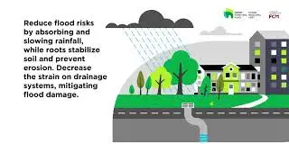 Green Municipal Fund (GIF 3) | Federation of Canadian Municipalities