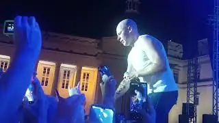 Vidas Bareikis, 