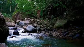 Water River Stream - River Sound for Rest and Relax | sleep - relax - enjoy life - ASMR