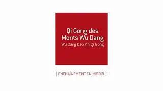 Qi Gong des Monts Wu Dang - Wu Dang Dao Yin Qi Gong - Miroir