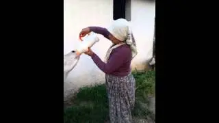 Kırşehir Kocabey Güzzel Kızları