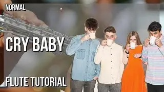 How to play Cry Baby by Clean Bandit & Anne Marie ft David Guetta on Flute (Tutorial)