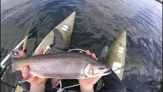 Lake fishing for them chunky brookies with the fly