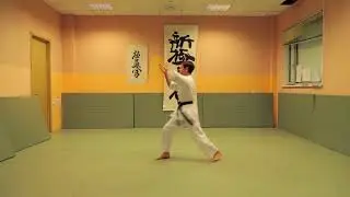 Архангельский пинам 4