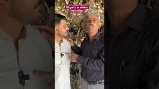 G1 garlic in lahore | g1 garlic #ytshorts