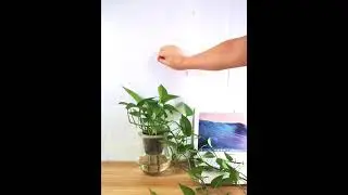 Plant Clips For Climbing Plants-30PCS