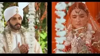 Them💗 #terebin #terebindrama #terebindramaost #viralvideo #trendingvideo #viralshort #wahajali #fypシ