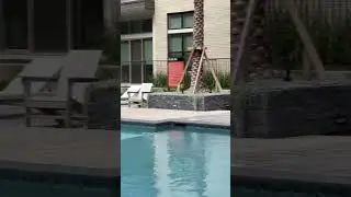 Take a Quick Peek at a Luxury Apartment Pool Downtown San Antonio