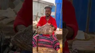 KASIMEDU FISH CUTTING VIDEO #kasimeduselvam #speedselvamcutting #shorts #shortsfeed #shortfeed