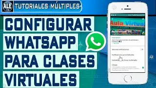 Como Configurar Whatsapp Para Dar Clases Virtuales