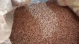masoor ki daal ka rate#ghee #foodindustry #foryou #foodproduction