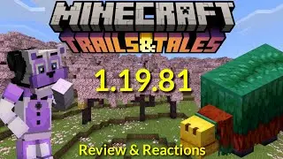 Mcpe 1.19.81 Update Review & Reactions