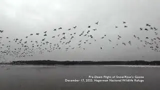 20251217 Pre Dawn Flight