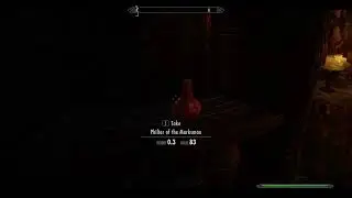 Skyrim Mod Demo (First Person Interactions & DTiD)