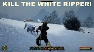 GOTHIC 3  ENHANCED EDITION   KILL THE WHITE RIPPER