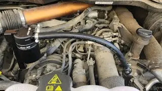 ECODIESEL ADD W1 #oil catch can #addw1 