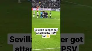 😳👀PSV fan attacked Sevilla's keeper in Europa league #football #goalkeeper