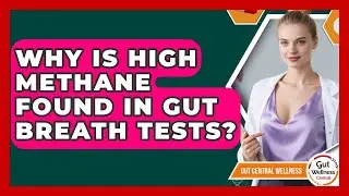 Why Is High Methane Found In Gut Breath Tests? - Gut Wellness Central