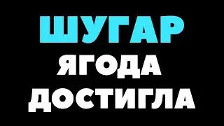 ШУГАР - ЯГОДА ДОСТИГЛА (2025)