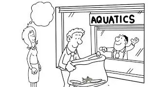 Choosing and transporting aquarium fish