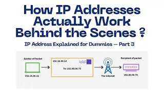 Как на самом деле работают IP-адреса? (Для начинающих)
