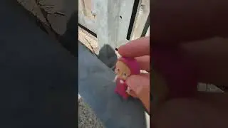 желание