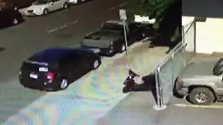 Stolen Sym dd50