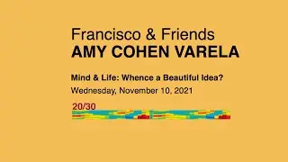Live webinar with Amy Cohen Varela: 