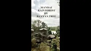 Mandai Rainforest by Banyan Tree Review: Luxury, Wildlife & Honest Tips (2025)