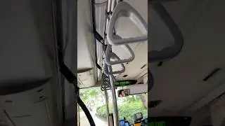 #MAN #ND323F #A95 Lion's City DD (Euro V, Gemilang Mk I) - SMRT Buses Service 190 (Part Two) #shorts