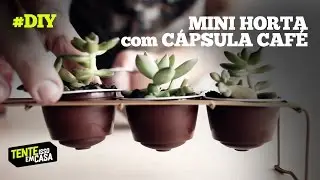 MINI HORTA JARDINEIRA CACTOS com cápsulas de café | DIY Tente Isso em Casa