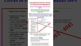 IBPS Clerk Notification 2023 | IBPS ClerkVacancy, Syllabus, Salary, Preparation |Full Details