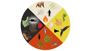 Britannica Schools: The Medicine Wheel | Encyclopaedia Britannica